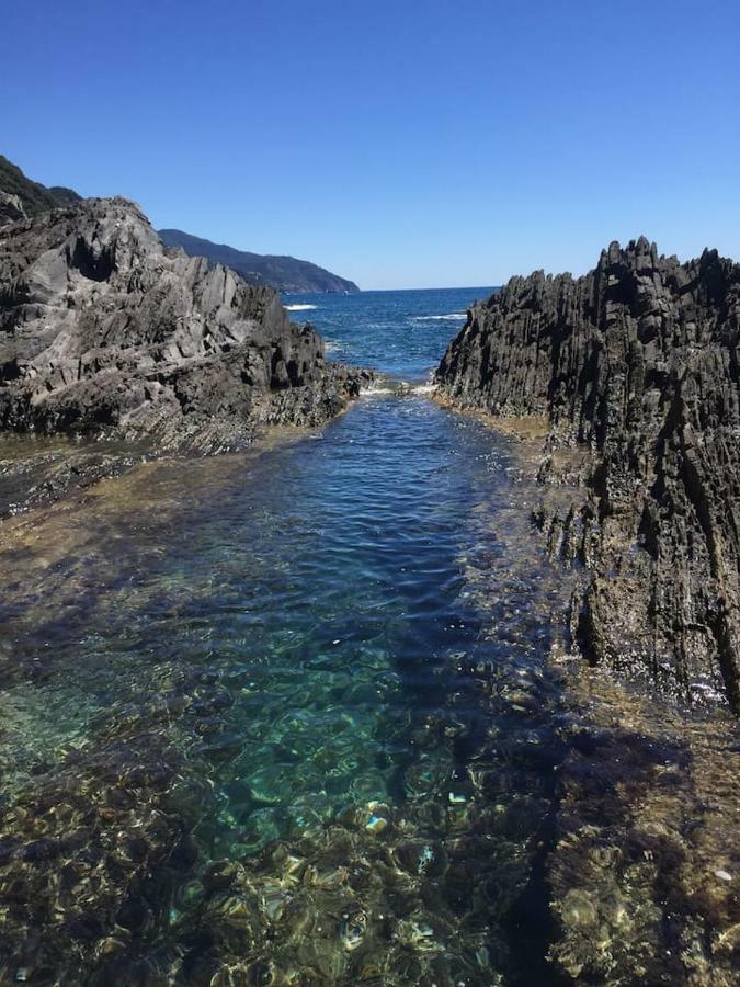 Tavernetta 109 Terrazza Tra Le 5 Terre E Portofino Deiva Marina Exteriör bild