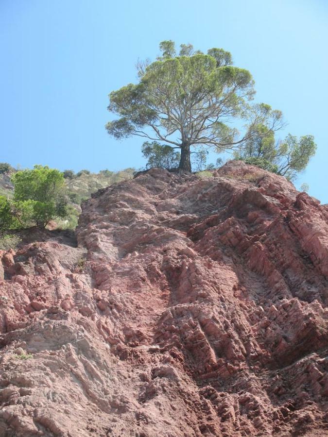 Tavernetta 109 Terrazza Tra Le 5 Terre E Portofino Deiva Marina Exteriör bild