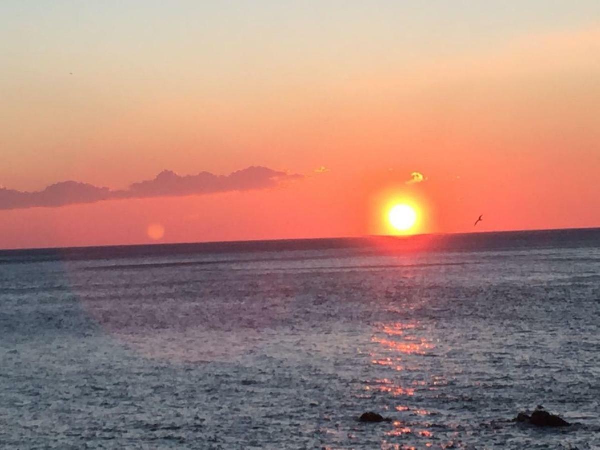 Tavernetta 109 Terrazza Tra Le 5 Terre E Portofino Deiva Marina Exteriör bild