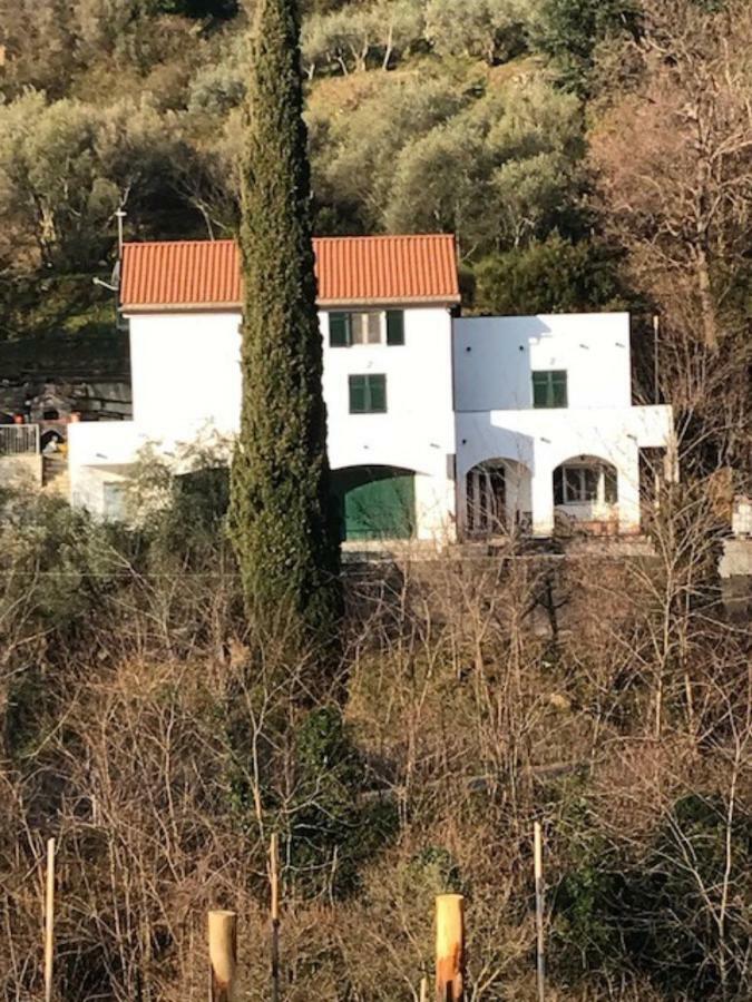 Tavernetta 109 Terrazza Tra Le 5 Terre E Portofino Deiva Marina Exteriör bild